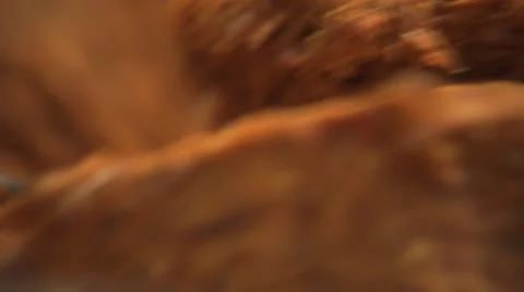 Industrial meat mill Stock Footage 52370797