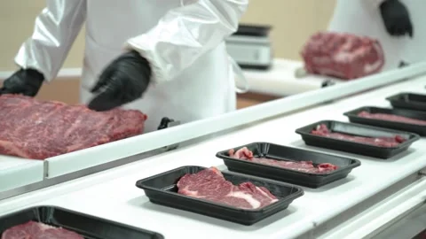Industrial Meat Processing Plant with Automatic Packaging System 動画素材 335258403