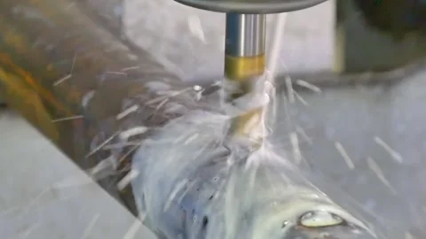 Industrial Metal Drilling Process With Cooling Fluid in a Workshop Stock Footage 340486647