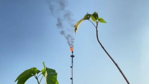 Industrial oil refinery flare stack burning gas with thick black smoke risi.. 库存影片 337159908