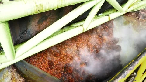 Industrial Palm Oil Fruit Processing with Steam in Mill Factory Stock Footage 335704132