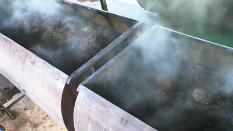 Industrial palm oil processing with steam rising from vats Stock-Footage 337440343