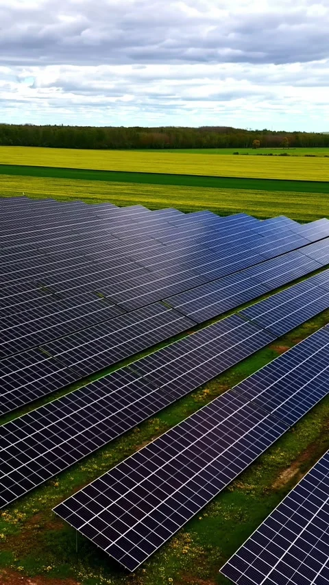 Industrial photovoltaic solar panels array clean electricity sun harvest 動画素材 309199065