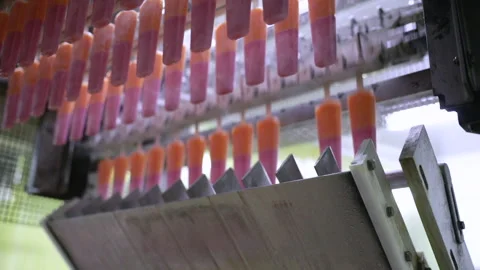 Industrial popsicle factory machine Stock Footage 259096800