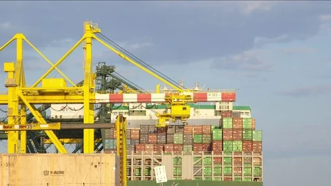 Industrial Port, container loading Stock Footage 78002762