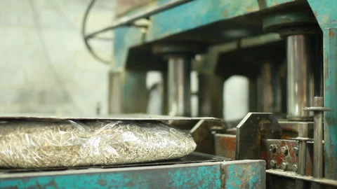 Industrial Press Machine Compressing Shredded Paper Bale Stock Footage 328814064