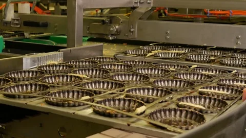 Industrial process of Empty pastry molds on a conveyor belt in a bakery factory Stock Footage 81711360