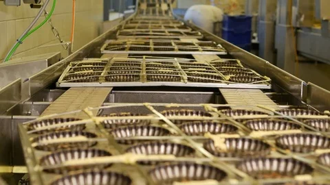 Industrial process of Empty pastry molds on a conveyor belt in a bakery factory Stock Footage 81711371