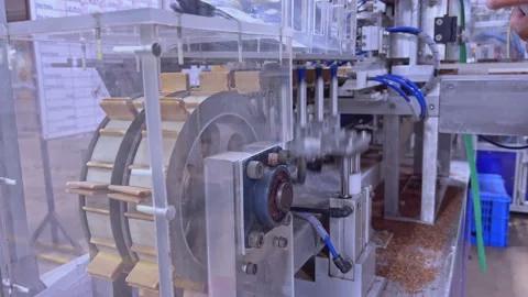 Industrial process for making cigarettes and cigars in factory at Santiago Vidéo 170204365