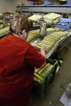  industrial processing of chicken eggs with machines in a factory industri... 스톡 사진