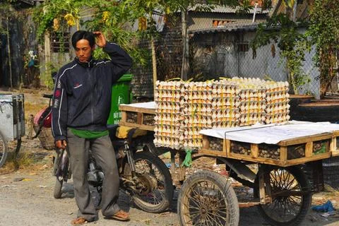  industrial processing of chicken eggs with machines in a factory industri... Foto stock