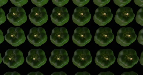 Industrial Processing Pepperoni 3d animation Stock Footage 192147714