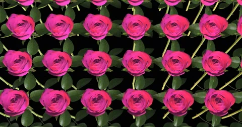 Industrial Processing Pink Roses 3d anim... | Stock Video | Pond5