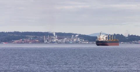 Industrial Processing Plant and Container Ship passing by on a cloudy day. Foto stock