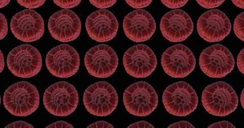 Industrial Processing Raspberry 3d animation Video stock 192160348