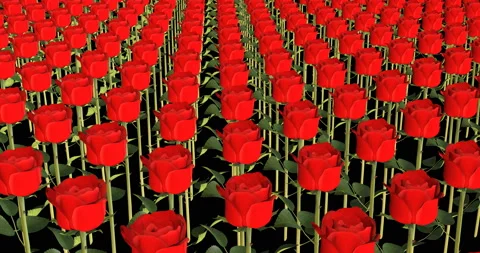 Industrial Processing Red Roses 3d animation Video stock 192162172