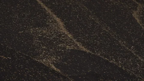 Industrial processing of wheat grains. Stock Footage 165367542