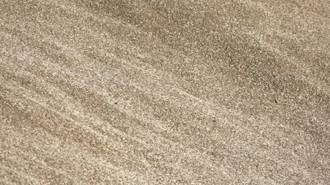 Industrial processing of wheat grains. Stock Footage 165367605