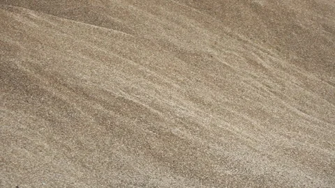 Industrial processing of wheat grains. Stock Footage 165367659