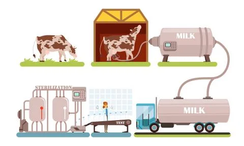 Industrial Production of Milk Set, Processing of Natural Dairy Product Steps Stock Illustration
