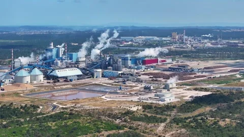Industrial pulp and paper mill polluting the air Stock Footage 339674815
