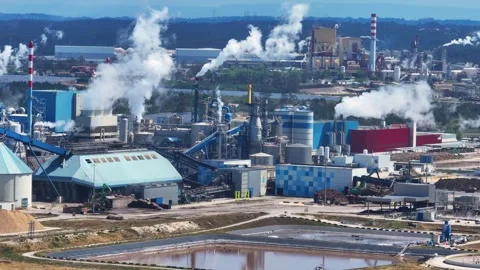 Industrial pulp mill producing cellulose and bioenergy Stock Footage 340311569