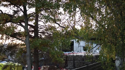 Industrial recycling facility behind trees at sunset symbolizing contrast betwee Stock Footage 319832916