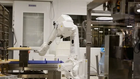 Industrial robots. Mechanical arm biscuit factory. Stock Footage 103272433