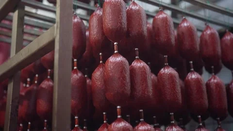 Industrial sausage production in meat processing factory, hanging salami on Stock Footage 333496831