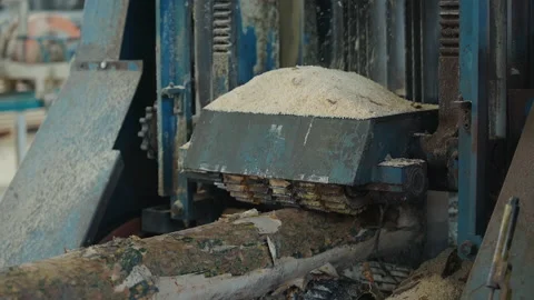 Industrial Saw Equipment Processing Timber Material Log By Cutting Wood Stock Footage 235663278