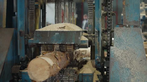 Industrial saw processing the wooden log inside of the carpentry workshop Stock Footage 247528061