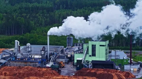 Industrial Sawmill Facility With Smoke Stacks And Wood Chip Piles Stock Footage 336228705
