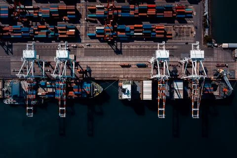Industrial Shipping Cranes Loading Containers At Busy Harbor Terminal High .. Fotos Stock