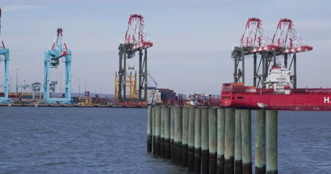 Industrial shipyard with seagulls sitting on posts Stockbeeldmateriaal 168786338
