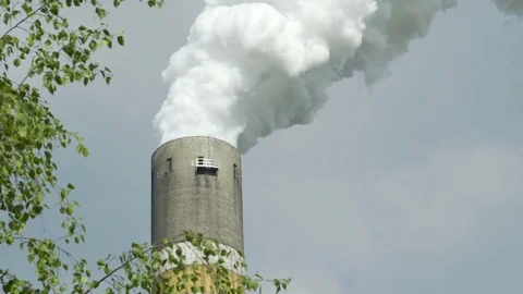 Industrial Smoke Stack Framed With Tree Closeup as CO2 to Oxygen Concept Stock Footage 75885004