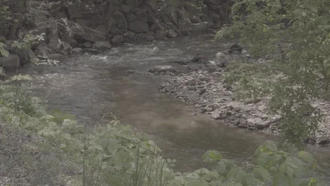 Industrial Stream Stock Footage 107697195