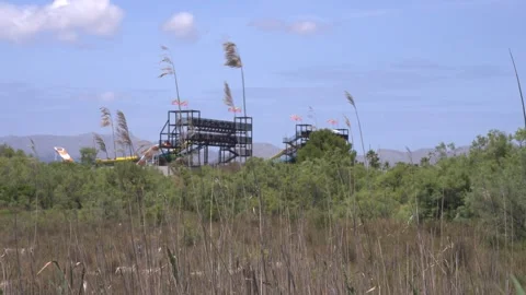 Industrial Structure Beyond Reed Beds, Maristany Wetland, Mallorca Stock Footage 340589639