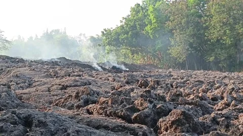 Industrial Sugarcane Waste Filter Cake Steaming In The Ground Видео 346113711