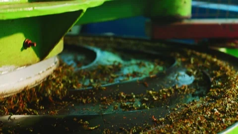 Industrial tea processing machine with rotating drum close-up Stock Footage 327591495