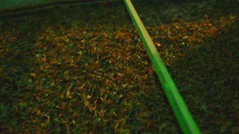 Industrial tea processing machine with rotating drum close-up Stock Footage 327592053