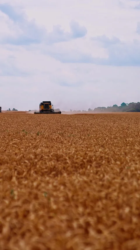 Industrial technique working in farmland. Stock Footage 297295589