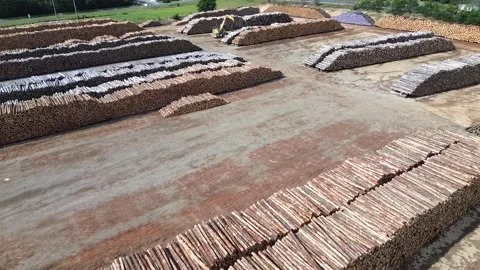 Industrial Timber Log Storage Yard Stock-Footage 334902059