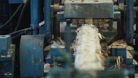 Industrial Timber Processing Equipment Grinds And Saws Log Into Wooden Planks Stock Footage 237851751