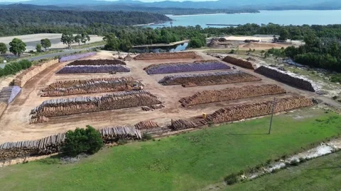 Industrial Timber Yard Stock Footage 334901996