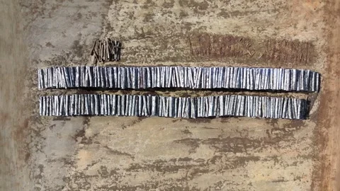 Industrial Timber Yard Vidéo 334902347