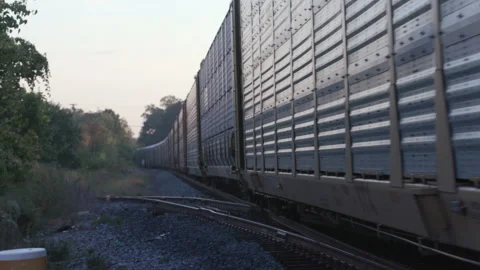 Industrial Train Passing at Dusk Stock Footage 137214473