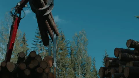 Industrial Tree cutting Machine, log grabbling, Forestry  Video stock 169305021