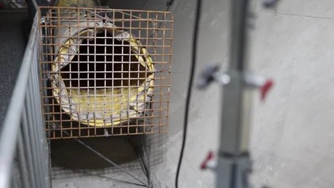 Industrial ventilation duct with yellow lining secured behind a rusted metal saf Stock Footage 309659223