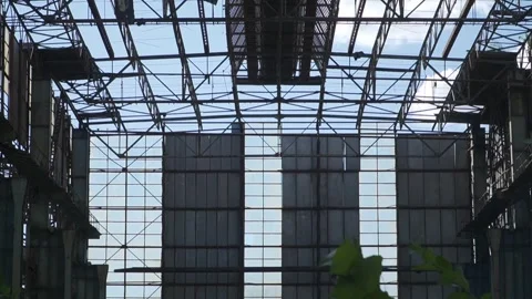 Industrial Warehouse Ceiling with Overgrown Vegetation Below Stock Footage 337690528
