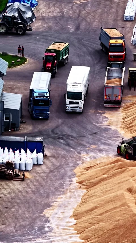 Industrial wheel loader moves enormous piles of grain at an agricultural Stock Footage 336721910